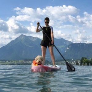 Dogs 4 life Bild zu Philosophie