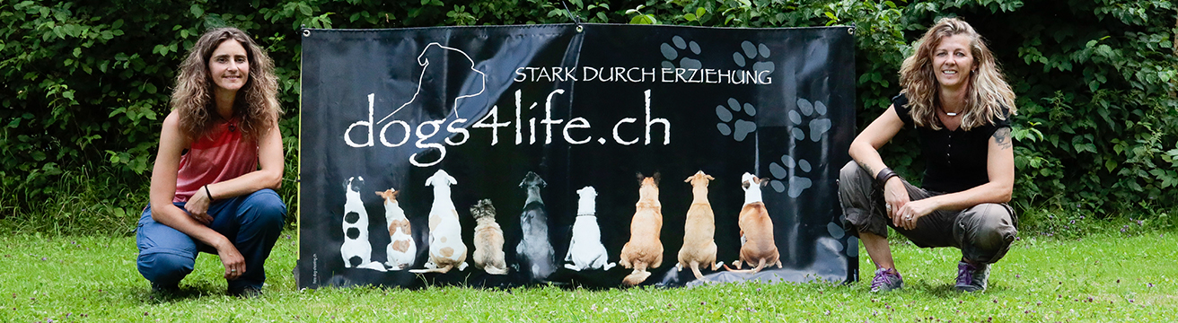 dogs4life Headerbild Übungsplatz