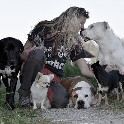 Dogs4lif Bild für Bilder