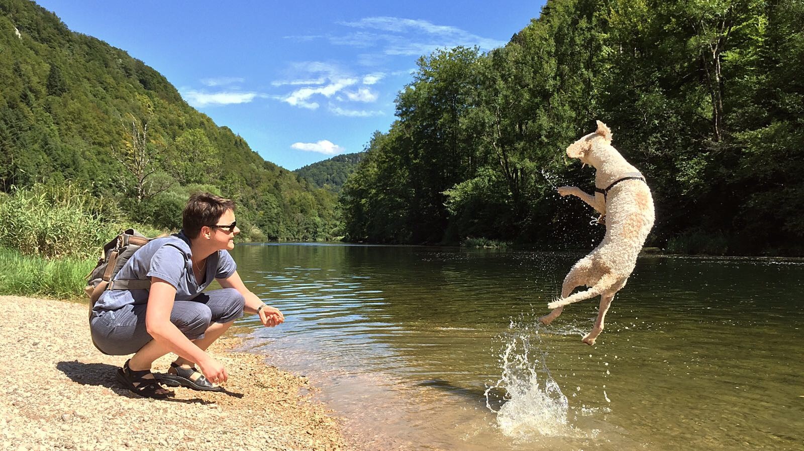 Dogs 4 life Bild zu Thalita Federale