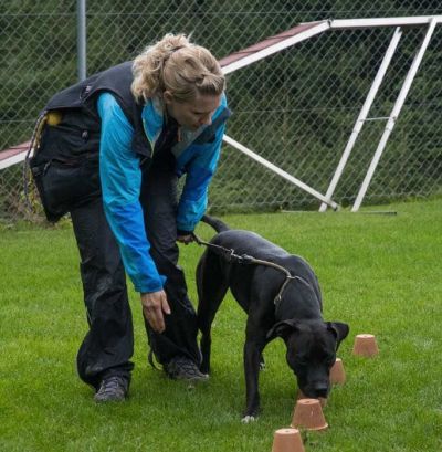 Dogs 4 life Bild zu Plauschgruppen