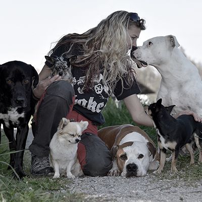 Dogs4lif Bild für Bilder