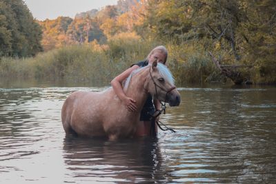 Dogs 4 life Bild zu Erziehungskurse