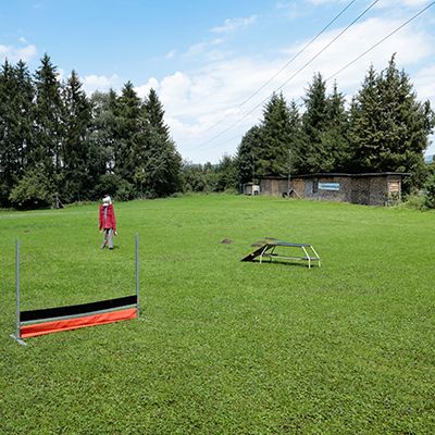 Dogs 4 life Bild Übungsplatz