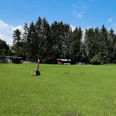 Dogs 4 life Bild Übungsplatz