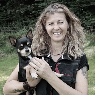 Dogs4life Bild Hundeschule