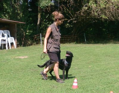 Dogs4life Bild Unterordnungskurse