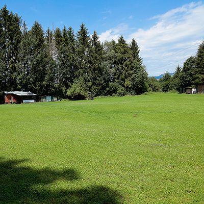 dogs4life Bild zu Übungsplatz