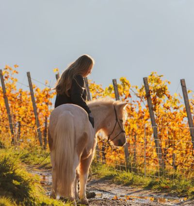 Dogs 4 life Bild zu Erziehungskurse