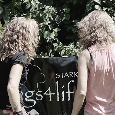 Dogs4life Bild Übungsplatz